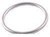 BECK/ARNLEY  0396116 Pipe Flange Gasket / Seal