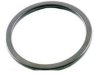 BECK/ARNLEY  0396134 Pipe Flange Gasket / Seal