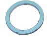 BECK/ARNLEY  0396438 Pipe Flange Gasket / Seal