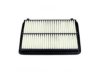 OEM 17220RYEA10 Air Filter