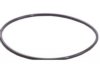 BECK/ARNLEY  0523568 Wheel Seal