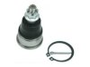 ACURA (SEE HONDA) 51210S6M010 Ball Joint