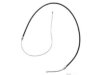 RAYBESTOS  BC93895 Parking Brake Cable