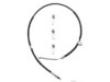 RAYBESTOS  BC96251 Parking Brake Cable