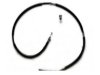 RAYBESTOS  BC96255 Parking Brake Cable