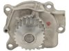 BOSCH  96065 Water Pump