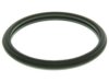 VICTOR REINZ  C32144 Thermostat / Thermostat Housing / Water Outlet Seal