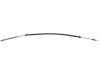 DORMAN C660031 Parking Brake Cable