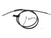 DORMAN C660559 Parking Brake Cable