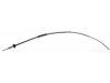 DORMAN C95135 Parking Brake Cable