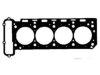 OEM 1110160520 Cylinder Head Gasket / Set