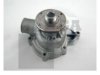 BGA  CP2488 Water Pump