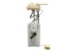 DELPHI  FG0096 Fuel Pump