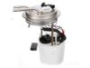 DELPHI  FG0816 Fuel Pump