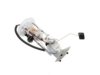 DELPHI  FG0871 Fuel Pump