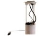 DELPHI  FG0929 Fuel Pump
