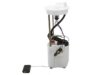 DELPHI  FG0930 Fuel Pump