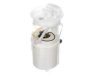 DELPHI  FG1079 Fuel Pump