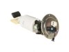 DELPHI  FG1187 Fuel Pump