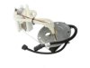 DELPHI  FG1195 Fuel Pump