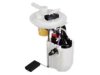 DELPHI  FG1371 Fuel Pump