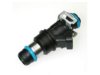 DELPHI  FJ10063 Fuel Injector