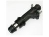 DELPHI  FJ10065 Fuel Injector