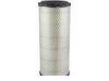 HASTINGS FILTERS  AF1109 Air Filter