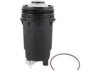 HASTINGS FILTERS  FF1167SPS Fuel Filter