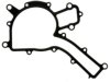 VICTOR REINZ  K31934 Water Pump Gasket