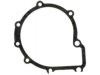 VICTOR REINZ  K31970 Water Pump Gasket