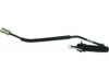 DELPHI  LLA10022 Clutch Slave Cylinder