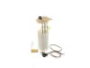 OEM 19180127 Fuel Pump