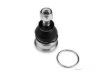 Airtex NIBJ1256 Ball Joint