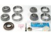INTERNATIONAL 282045C94 Differential Bearing and Seal Kit