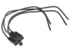GENERAL MOTORS 89057715 Horn Connector