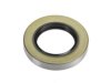 NATIONAL  1979 Differential Pinion Seal