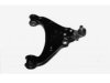 OEM RBJ101069 Control Arm