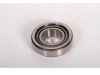  S1362 Differential Pinion Bearing