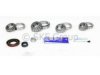 MACK TRUCK 1458DK320 Differential Bearing and Seal Kit