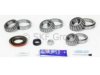 MACK TRUCK 1458DK324 Differential Bearing and Seal Kit