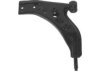 DELPHI  TC855 Control Arm