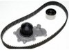GENERAL MOTORS 19253881 Timing Belt Component Kit