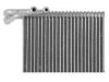 DELPHI  TSP0525199 A/C Evaporator Core