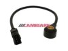 OEM 6238312 Knock (Detonation) Sensor