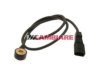 CAMBIARE  VE369032 Knock (Detonation) Sensor