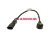 CAMBIARE  VE369034 Knock (Detonation) Sensor