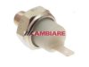 CAMBIARE  VE706038 Oil Pressure Sender / Switch