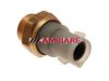 CAMBIARE  VE709009 Radiator Fan Switch