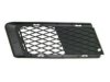 VARIOUS MFR  BM1036121 Grille